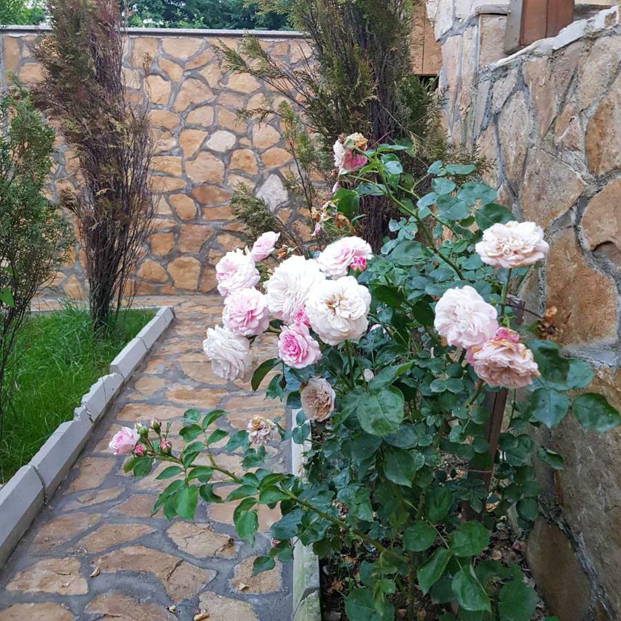 Apartment Little Paradise Visoko Exterior photo